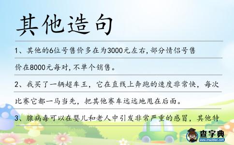 其他造句