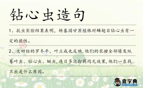 鉆心蟲造句