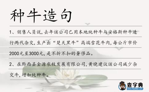 種牛造句