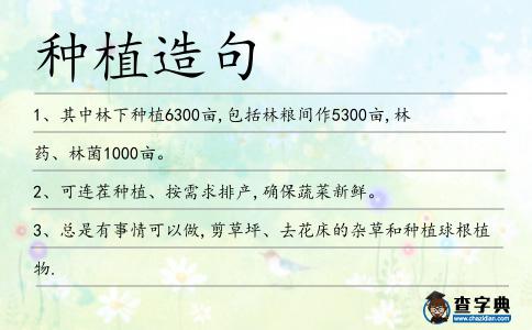 種植造句