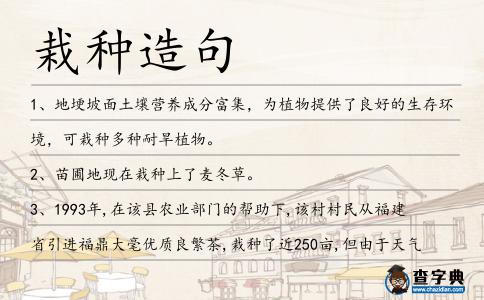 栽種造句