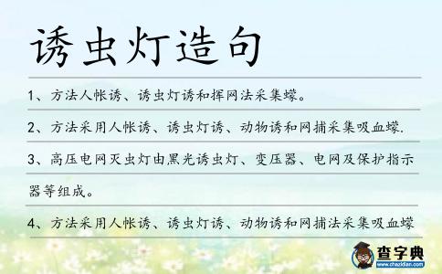 誘蟲燈造句