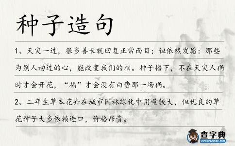 種子造句