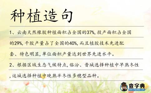 種植造句