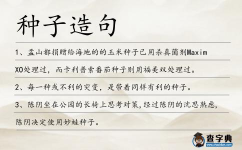 種子造句