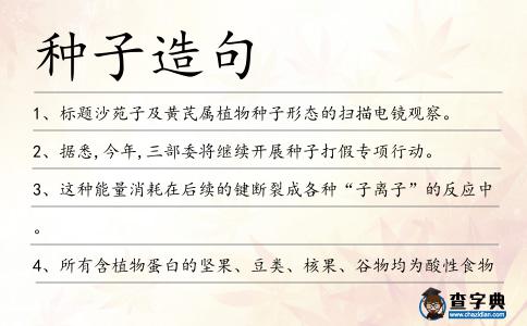 種子造句