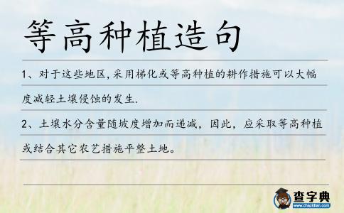 等高種植造句