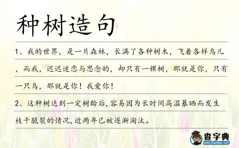 種樹造句
