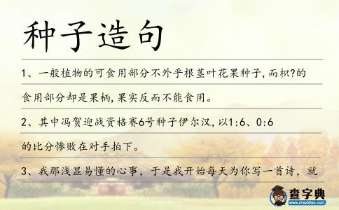 種子造句