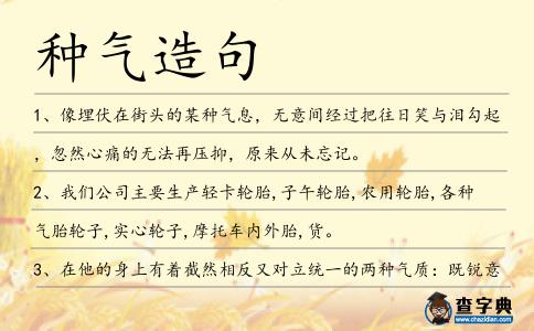 種氣造句