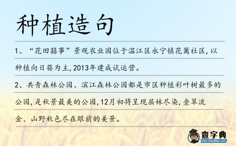種植造句