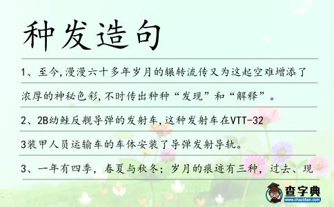 種發造句