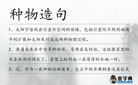 種物造句