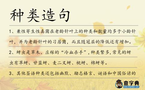 種類造句