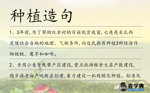 種植造句