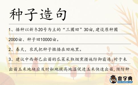 種子造句