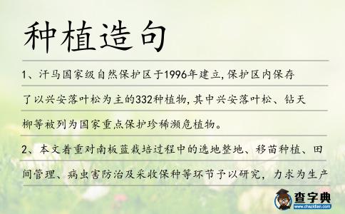 種植造句