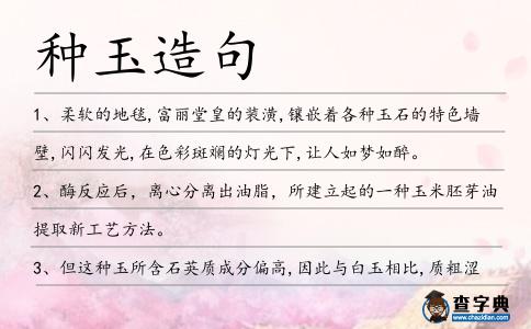 種玉造句