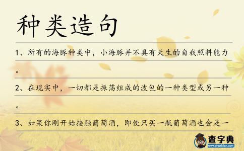 種類造句