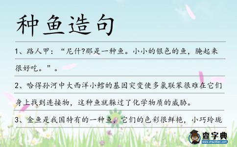 種魚造句