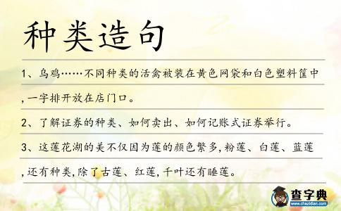 種類造句