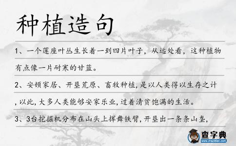 種植造句