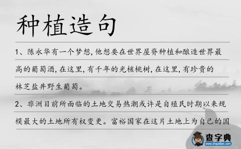 種植造句