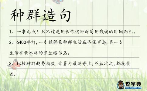 種群造句