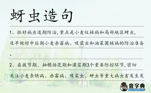 蚜蟲造句