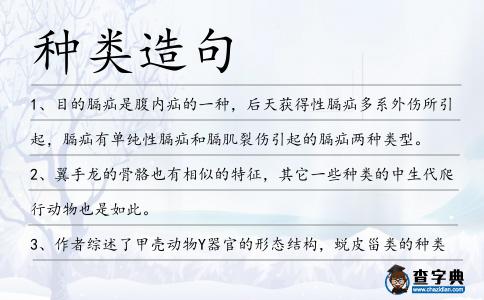 種類造句