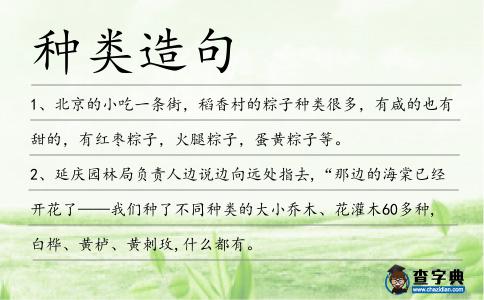 種類造句