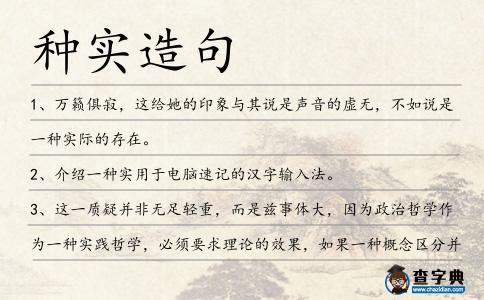 種實(shí)造句
