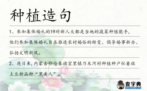 種植造句