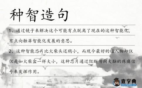 種智造句