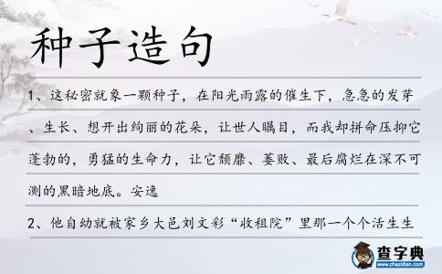 種子造句