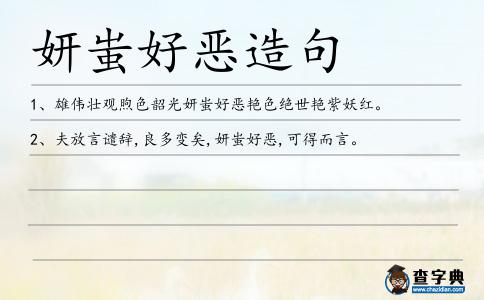 妍蚩好惡造句