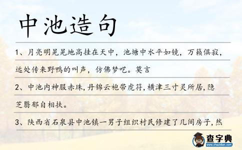 中池造句