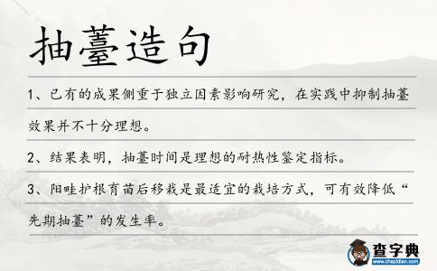 抽薹造句