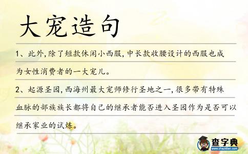 大寵造句