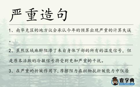 嚴(yán)重造句