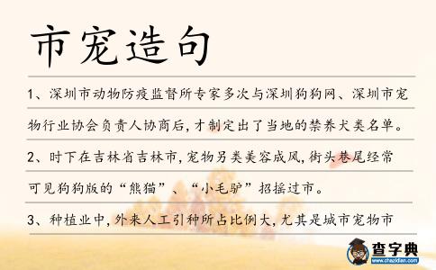 市寵造句