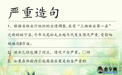 嚴(yán)重造句