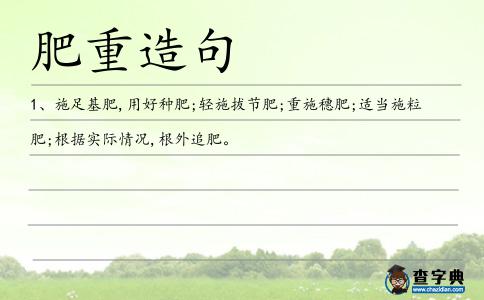肥重造句