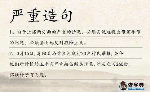 嚴重造句