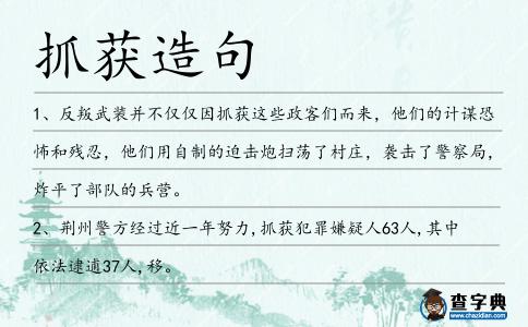抓獲造句