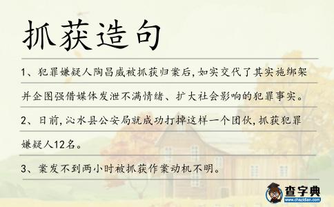 抓獲造句
