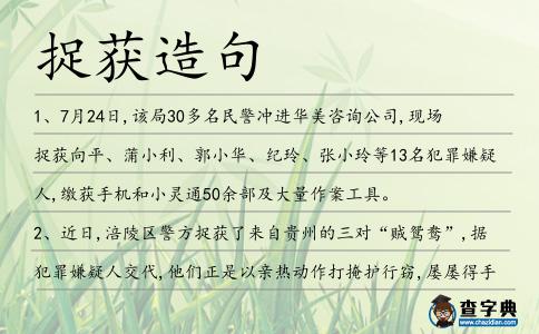 捉獲造句