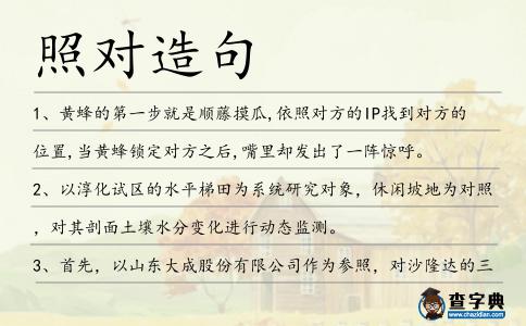 照對造句