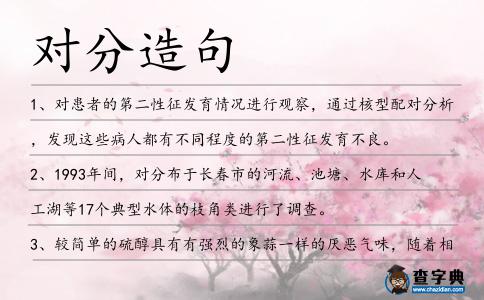 對分造句