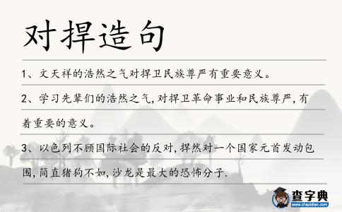 對捍造句